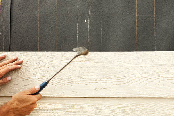 Best Siding Maintenance  in Ridgeway, VA